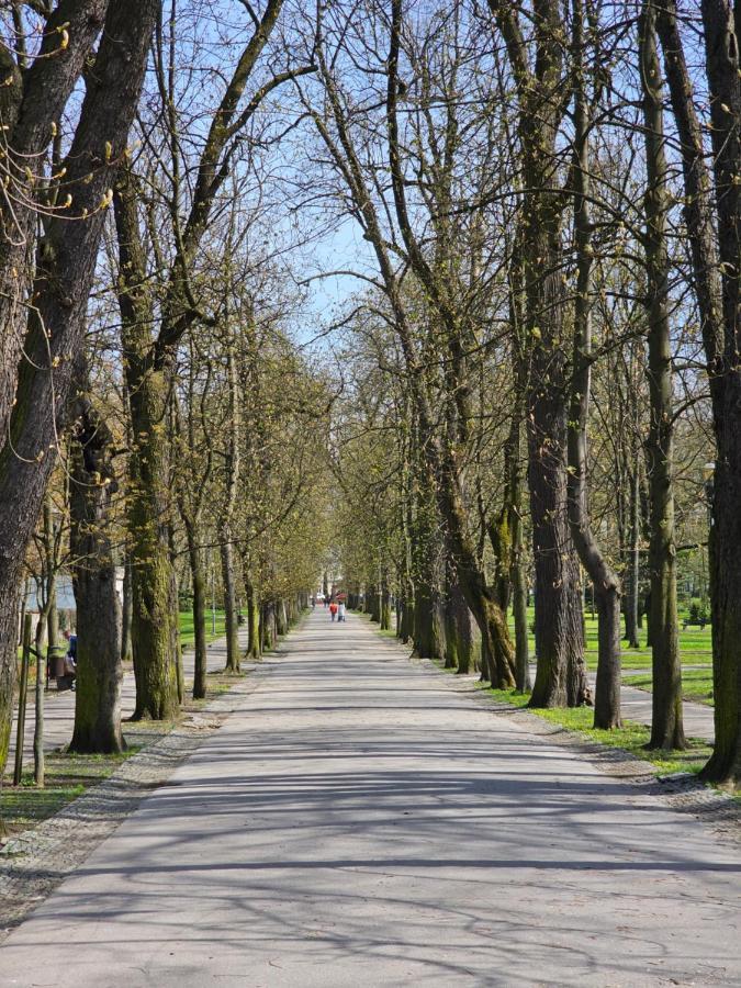 Apartament Central Park Kielce Exteriér fotografie